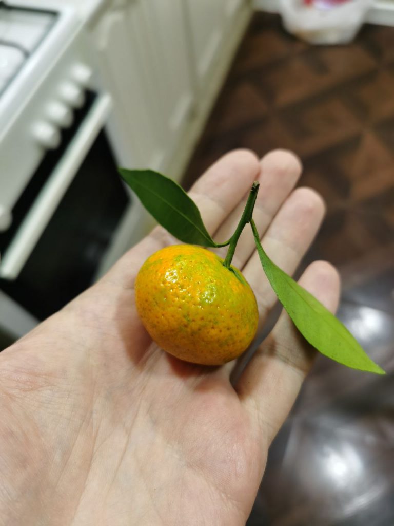 Uzbek Mandarin